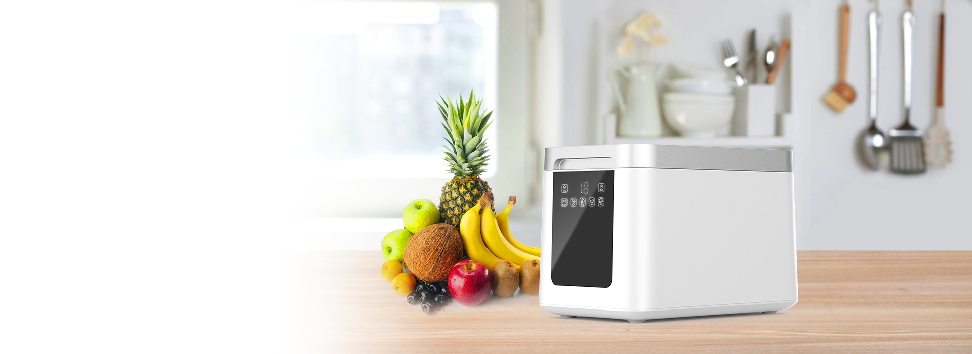 C6 A果蔬消毒機(jī)